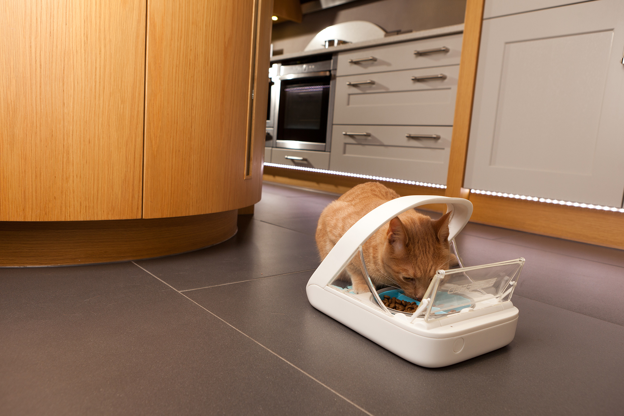 SureFeed Microchip Pet Feeder product image