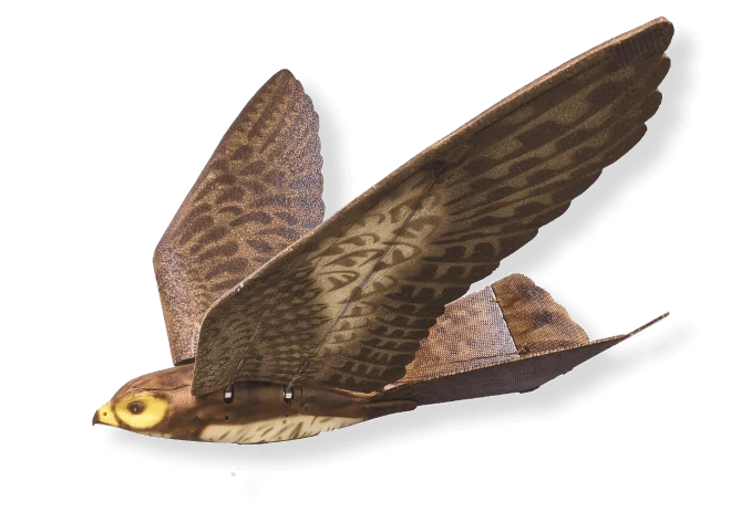 RoBird Robotic Falcon product image
