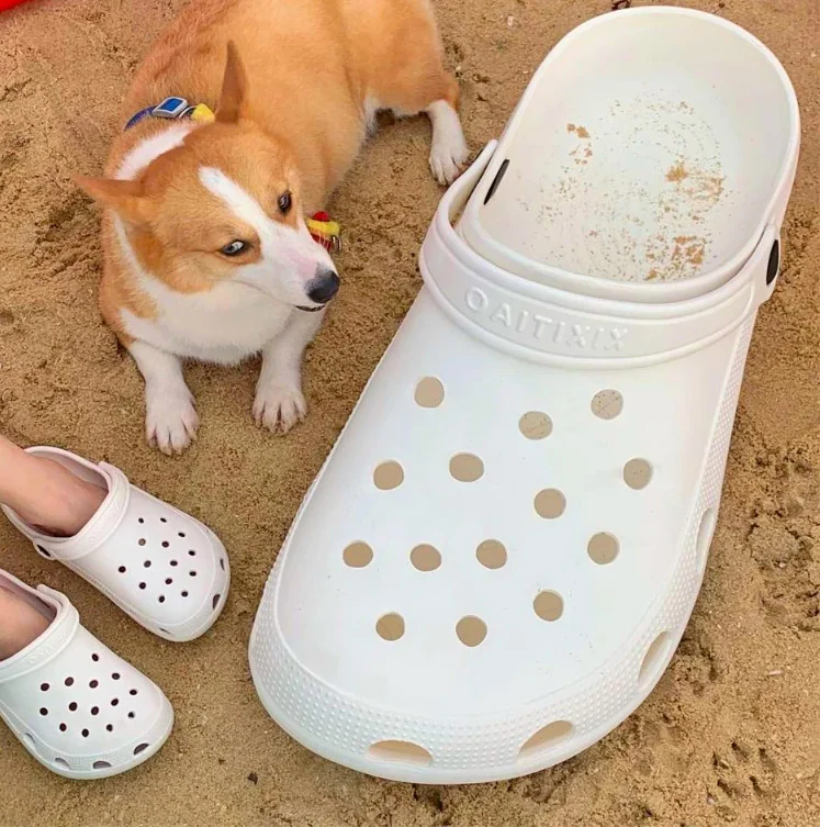 Giant Croc Pet Bed product image